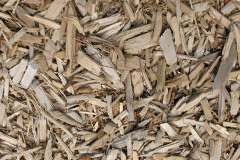 biomass boilers Crizeley
